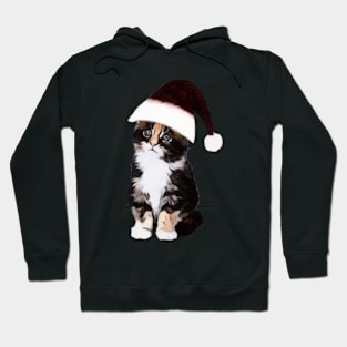 Christmas Cat In A Hat Art Hoodie